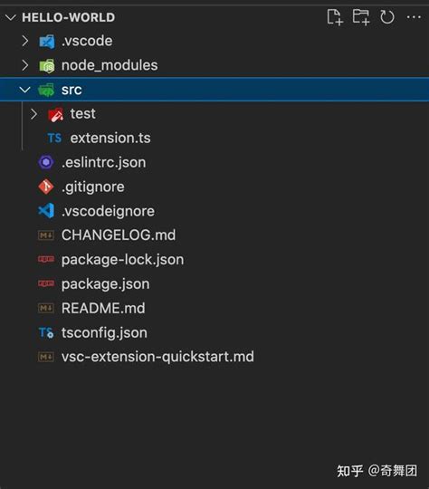 vscode webview2.